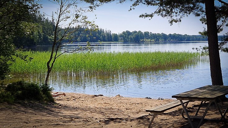Badplats med strand vid en skogssjö.