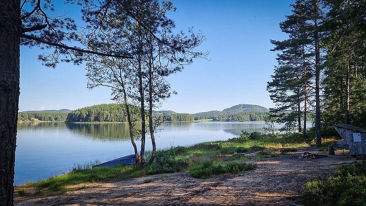 Skogssjö och en liten strand.