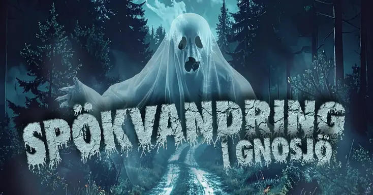 En teckning på ett spöke som flyger i mörk skog nattetid. Texten "Spökvandring i nattetid" står på bilden.