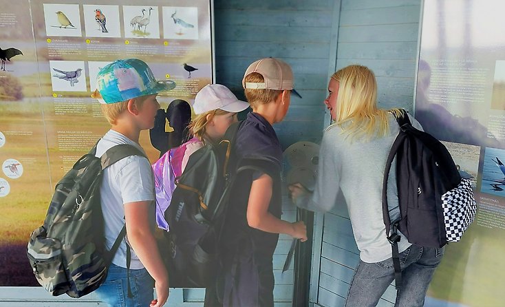 Elever som lyssnar på fågelsång i fågeltornet.
