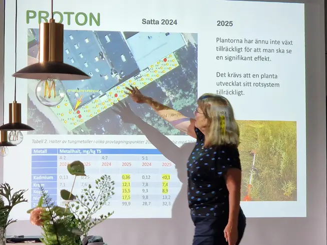 En föreläsare framför en projektion av data och statistik.