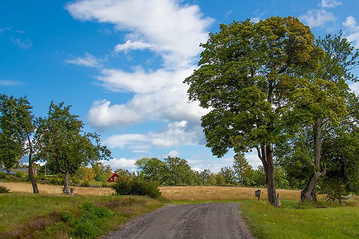 Ett hus och en skog.