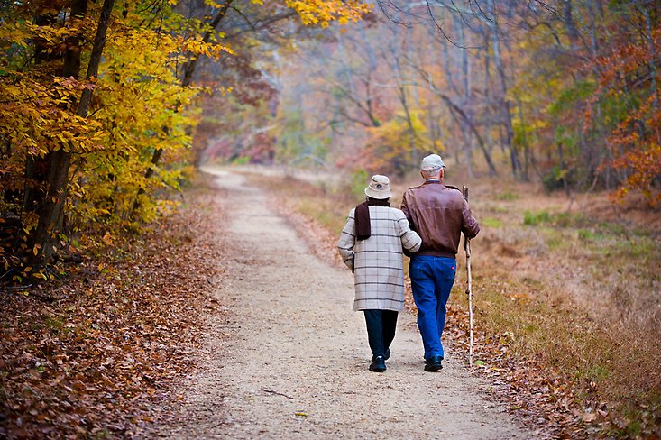 Ett äldre par som går tillsammans längs med en stig i skogen.