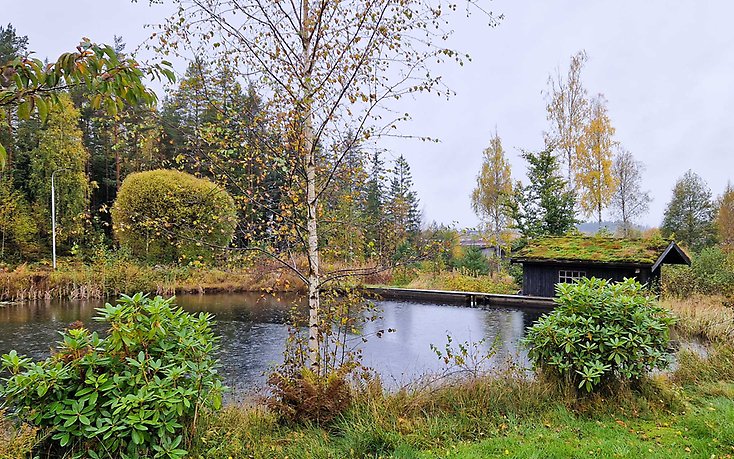 2017 Hederspris Folkes park.