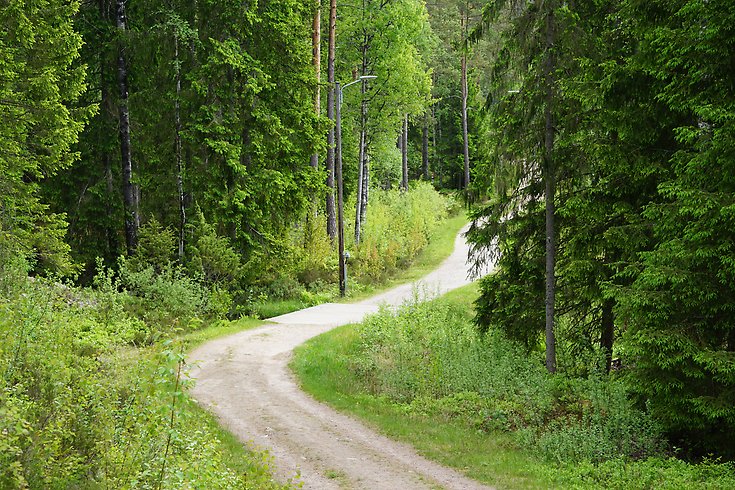 Elljusspår i Töllstorps fritidsområde