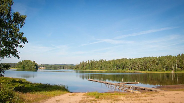Skogssjö och en liten strand.
