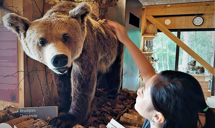 En flicka klappar en uppstoppad björn.