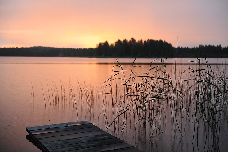 Brygga i solnedgång.